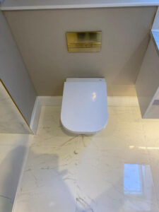 Toilet with Gold Plate